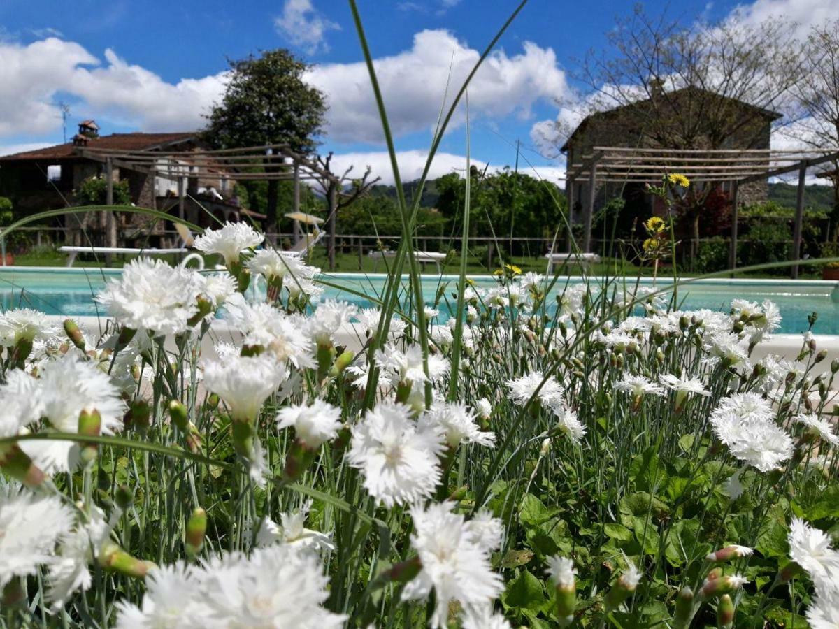 Agriturismo Chioi Barga Luaran gambar